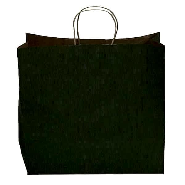 Kraft kağıt Çanta 25X12X31 Cm Yeşil 50 Adet