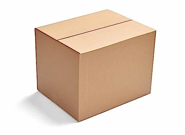 Koli Kutu Boş Karton 20X15X10 Cm 1 Adet Mini Boy Kst 1001 Ambalaj