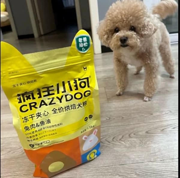 Köpek Maması Dolumu