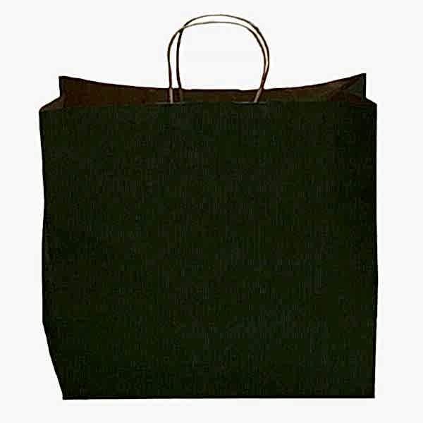Kraft kağıt Çanta 25X12X31 Cm Yeşil 25 Adet